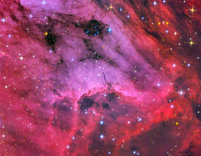 Mysterious cosmos - the beautiful constellation Swan.