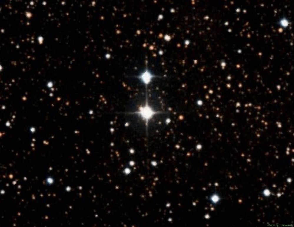 Swan X-1 in optical range