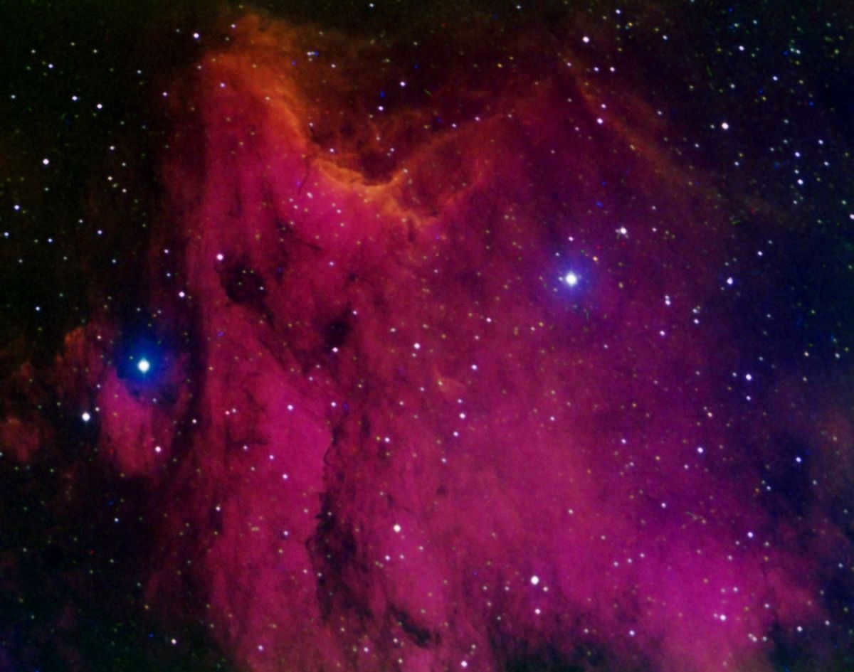 Emission Nebula IC 5070 or Pelican Nebula