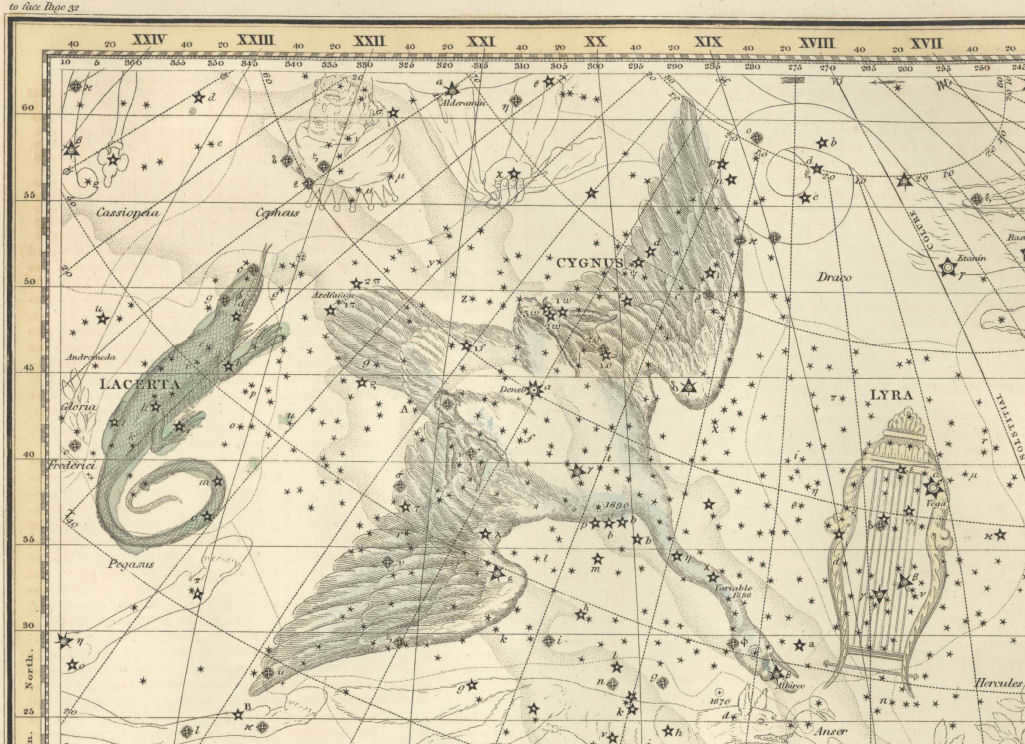 Drawing of the Swan from an antique star atlas