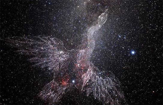 swan constellation how to find