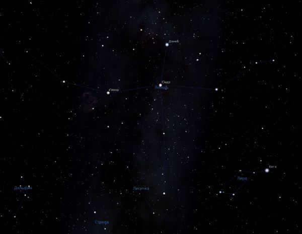 Swan - screenshot from the planetarium program.