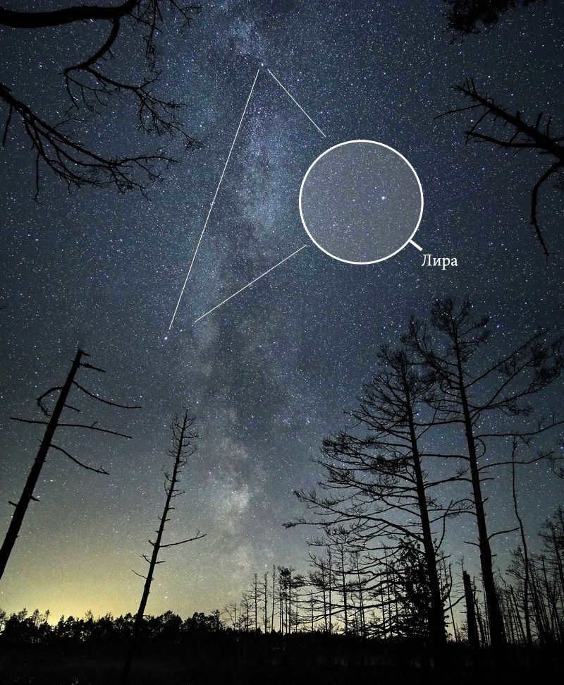 The constellation Lyra in the sky