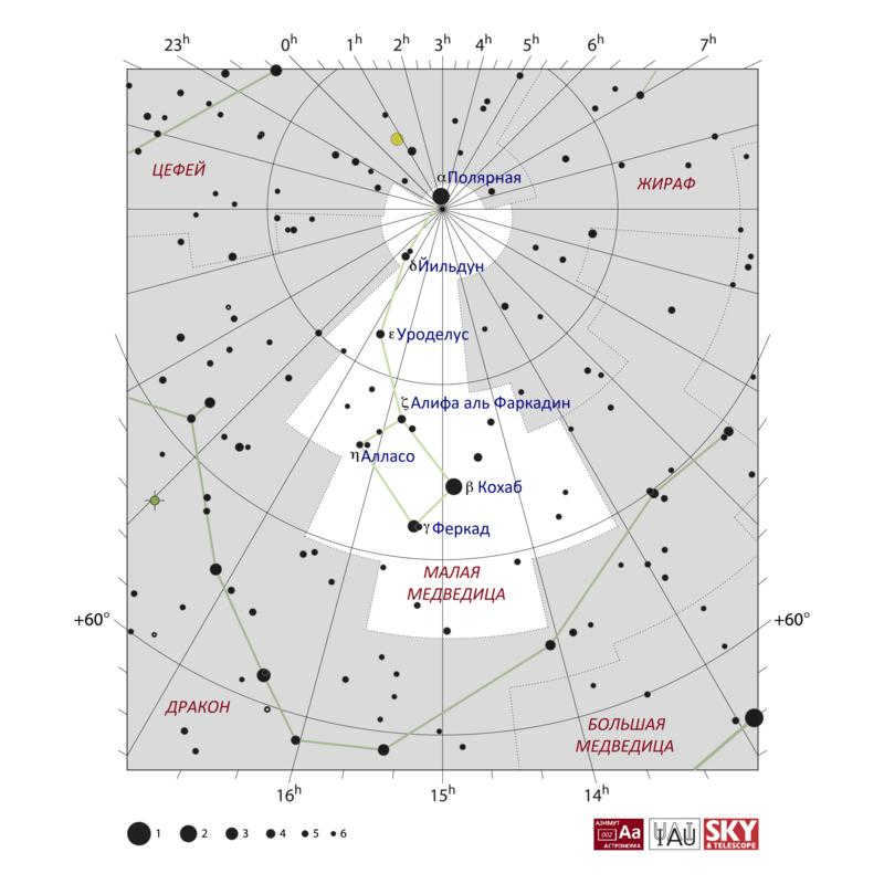 Diagram of the constellation of the Little Bear.