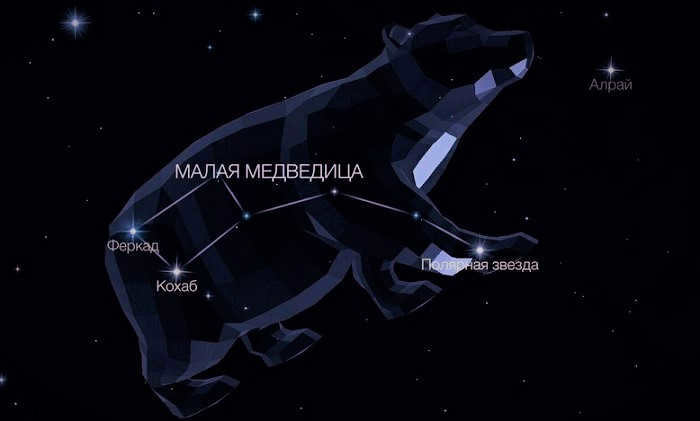 Constellation of the Little Bear