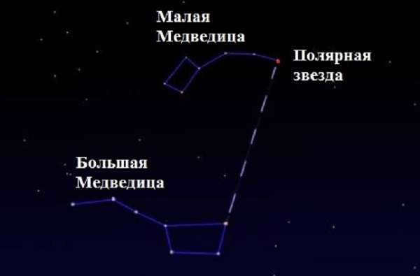 Polar Bear description and photo of the constellation