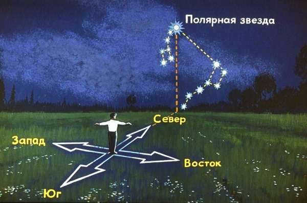 Polar Bear description and photo of the constellation