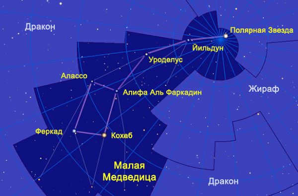 Polar Bear constellation description and photo constellation