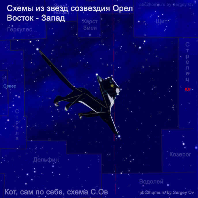 Star Cat who walks by himself - drawing