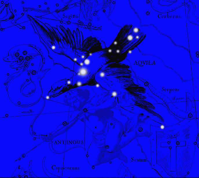 Constellation Eagle. Collage from the atlas of Jan Hevelius.