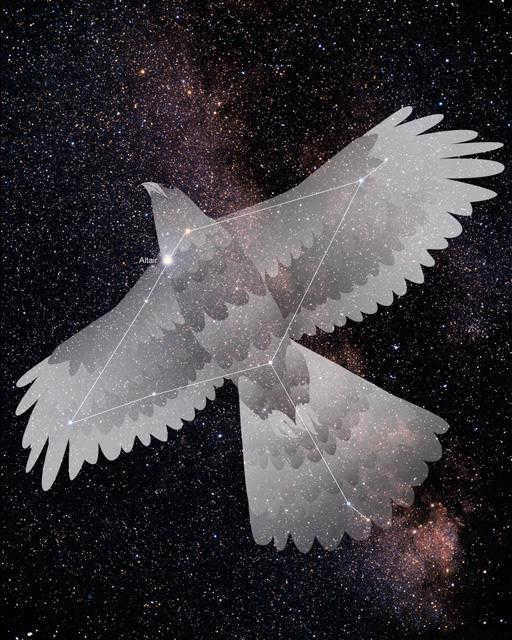 eagle constellation contest