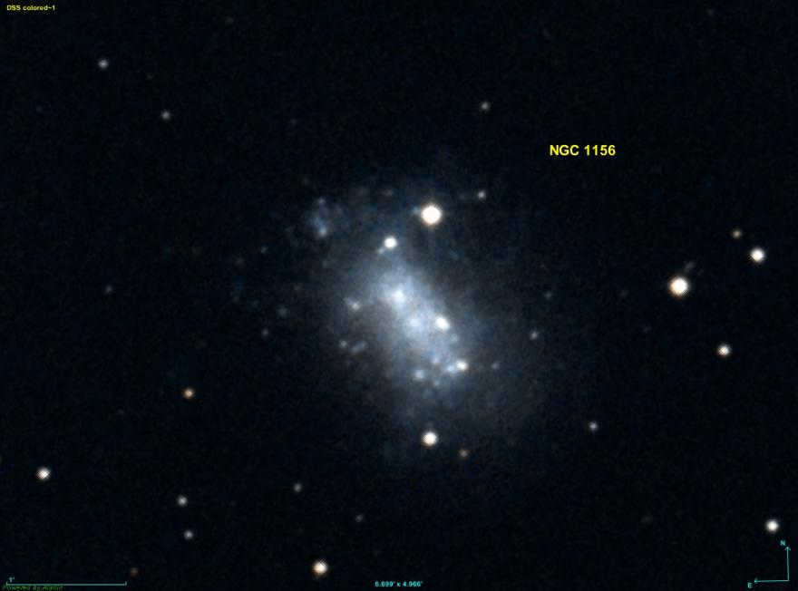 NGC 1156