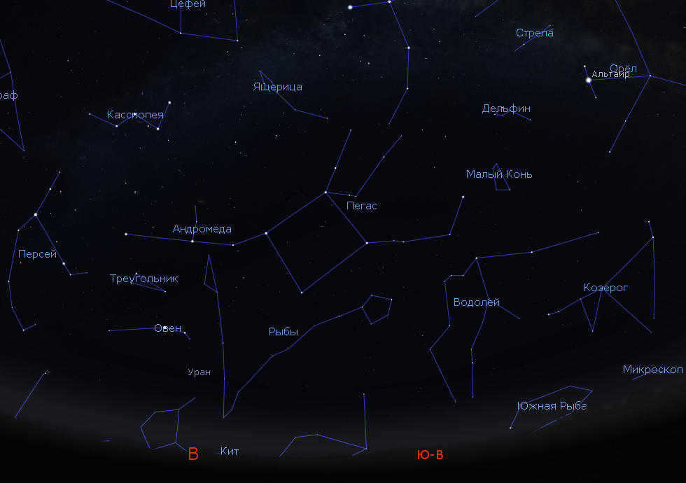 The constellation Pegasus in the sky