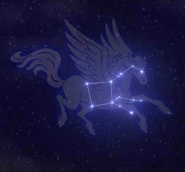 Pegasus constellation photo