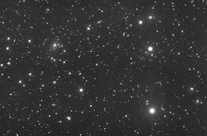 stars of the constellation Pegasus