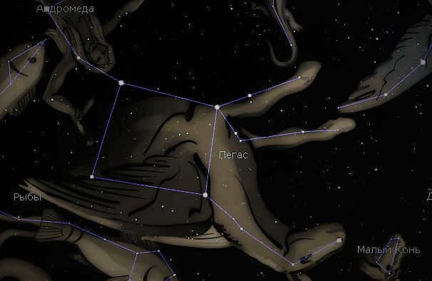 The constellation Pegasus