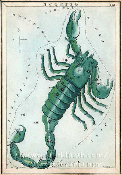 Constellation Scorpio