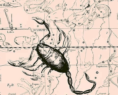 The constellation Scorpius from the Atlas Uranographia by Jan Hevelius (1690).