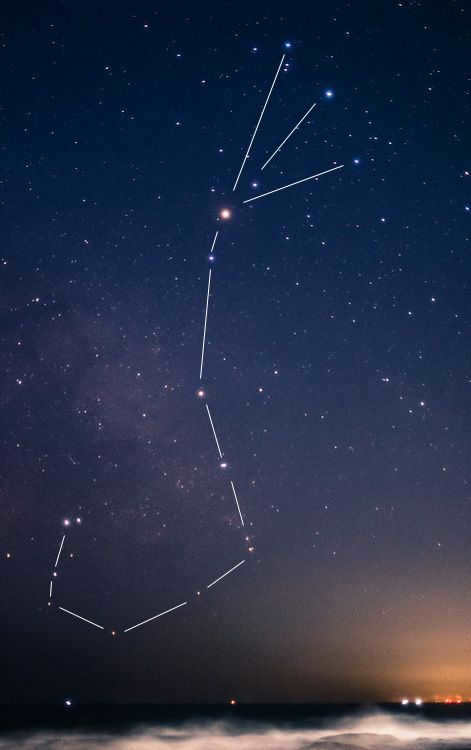 The constellation of Scorpius