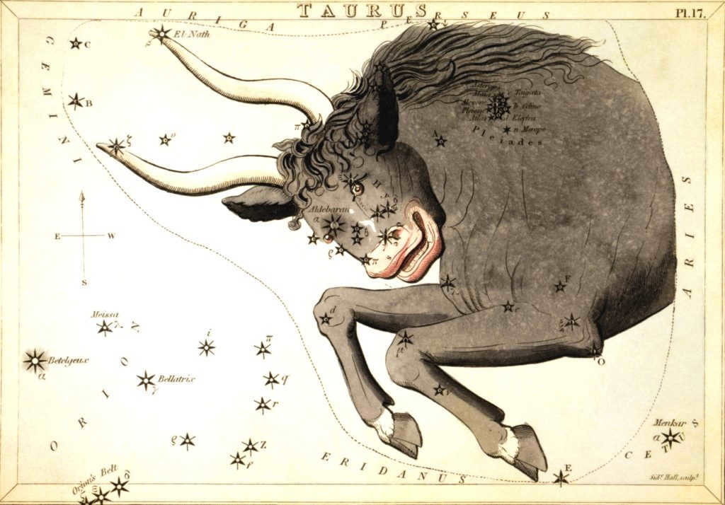 Image of Taurus on the ancient Greek star chart