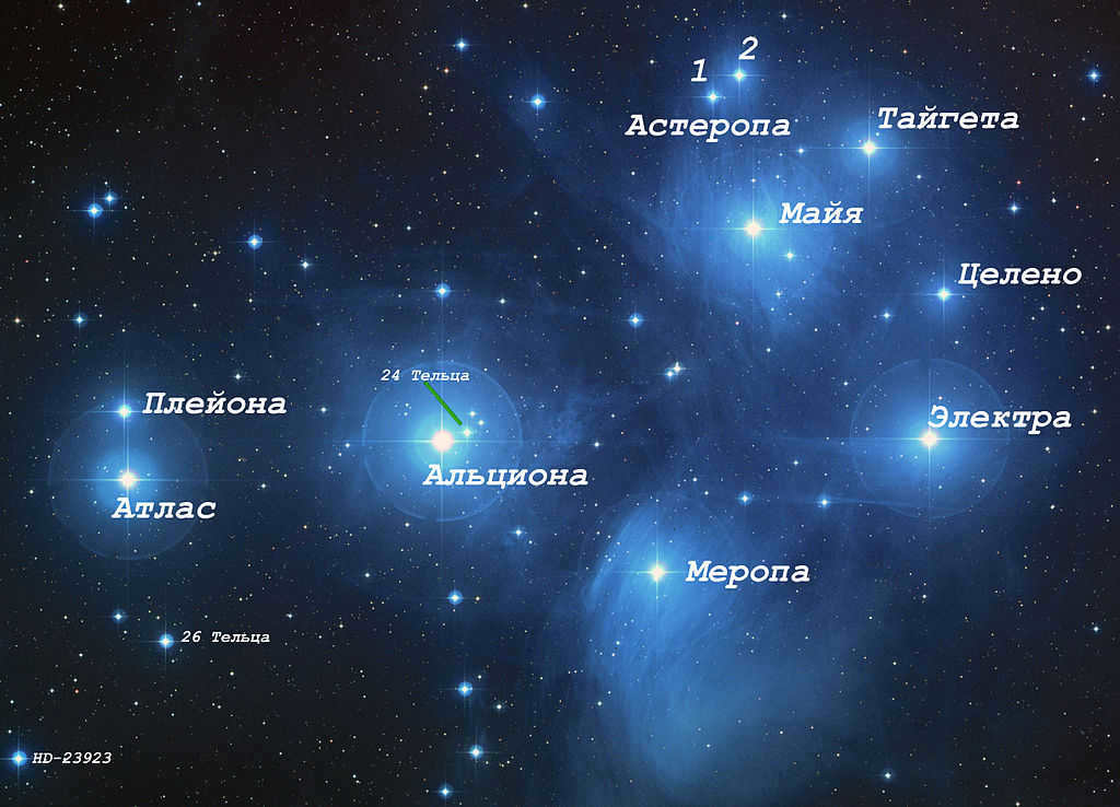 Stars of the Pleiades cluster