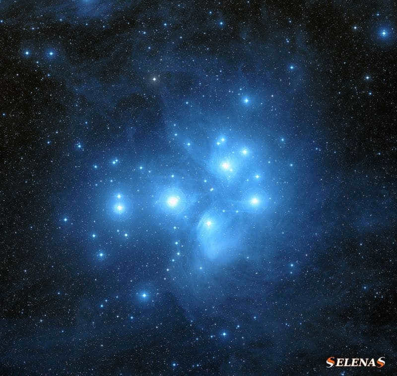 Merope