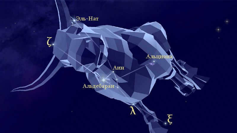 Stars of the constellation Taurus