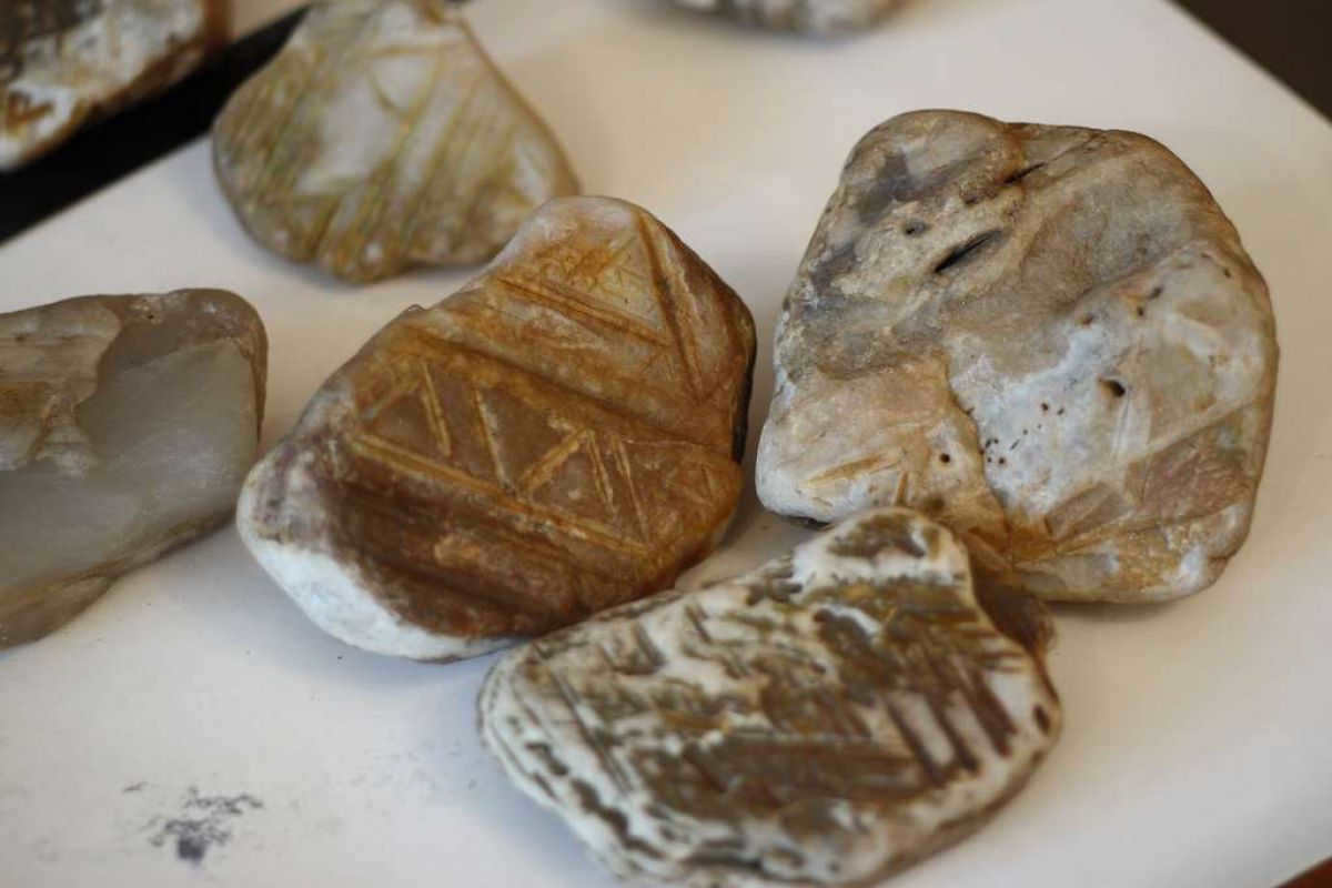 Tunguska meteorite - theories, expeditions