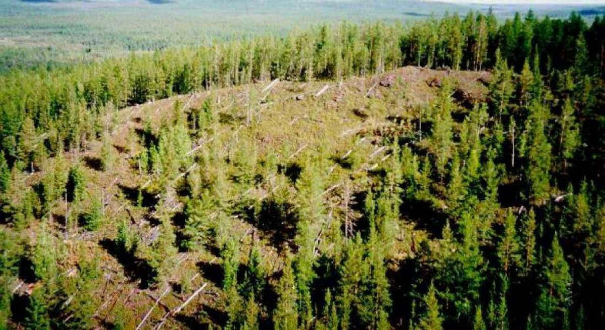Tunguska meteorite - theories, expeditions