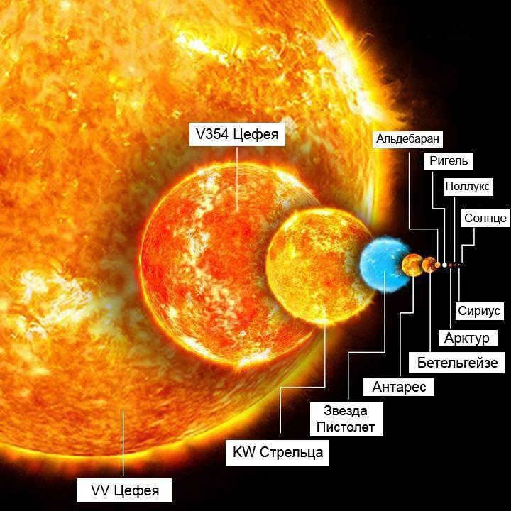 A comparison of the size of the Sun and various larger stars from VV Cepheus.