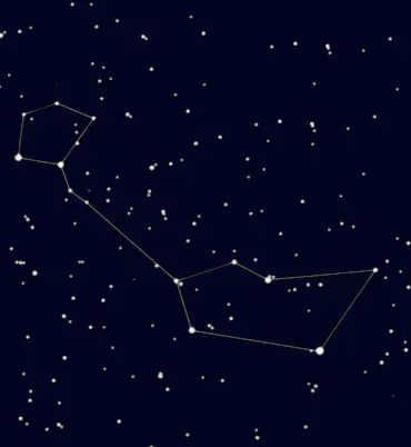 Upper zodiac, constellation Whale