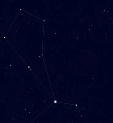 Upper zodiac, constellation Magpus.