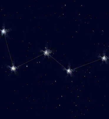 Zodiac sign Tree, constellation Cassiopeia.