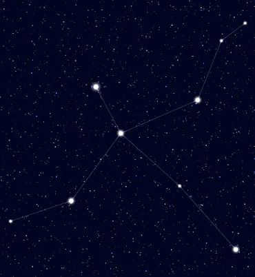 Zodiac sign Sphinx, constellation Swan.