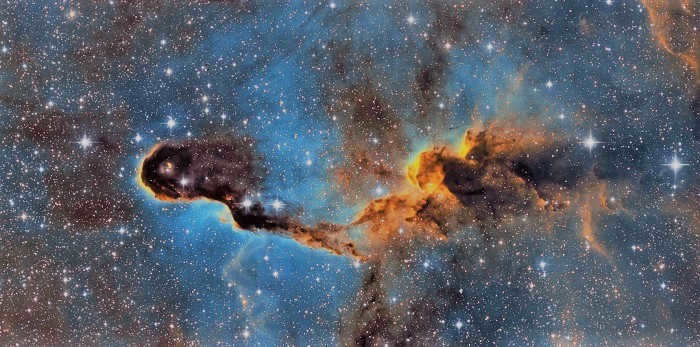 Elephant Trunk Nebula