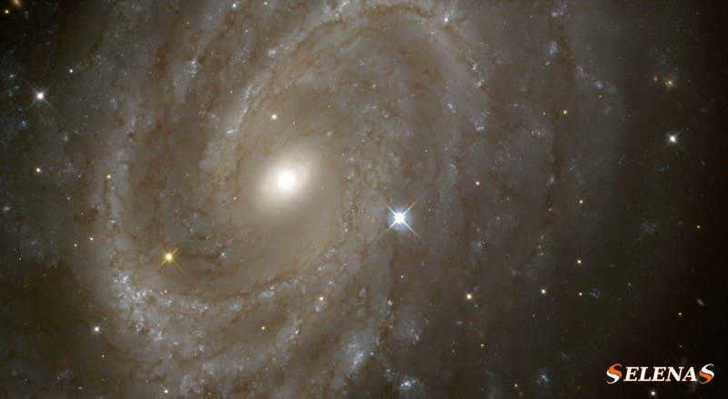Variable star Cepheid