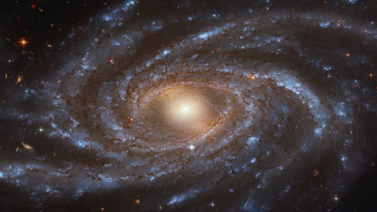 NGC 2336