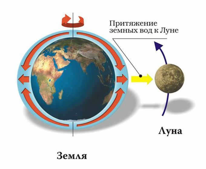 The attraction of Earth's waters to the Moon