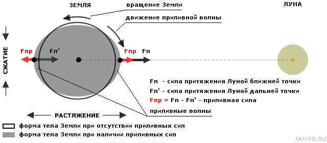 Influence of the Moon's gravitational field on the Earth's body