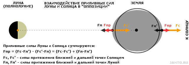 Joint influence of the gravitational fields of the Moon and the Sun on the Earth's body in "opposition" (at full moon).