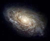 A spiral galaxy from the constellation Veronica's Hair.