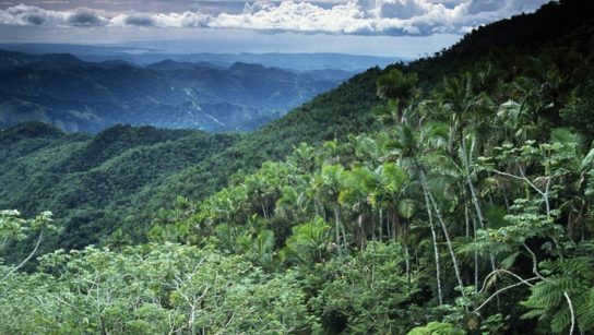Climate at the equator