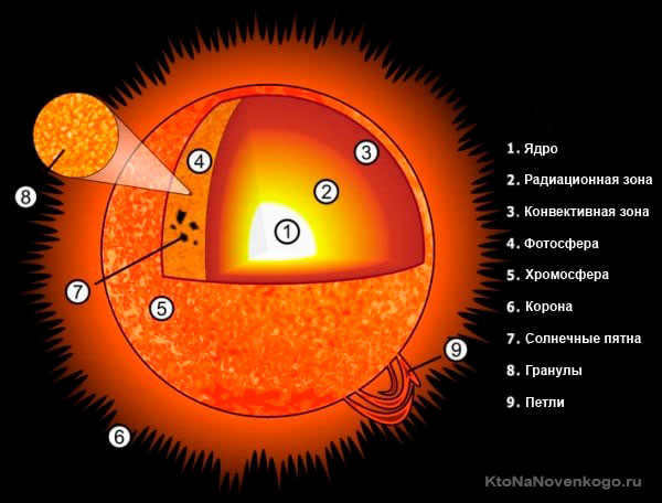 Structure of the Sun