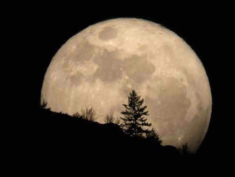  what are the terrestrial planets 