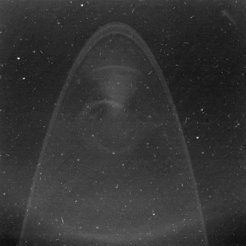 Jupiter's rings photographed by the New Horizons probe.