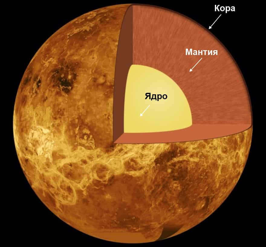 Venus' internal structure: crust, mantle and core