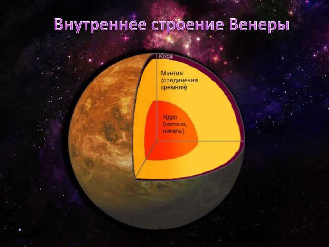 Internal structure of Venus