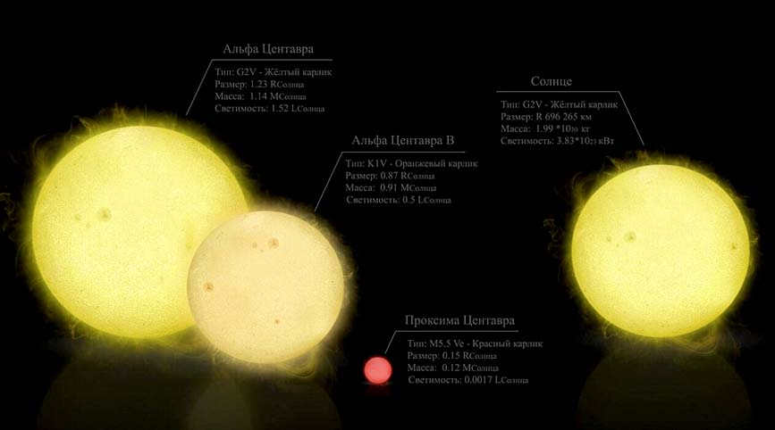 The stars closest to the Sun are our neighbors.