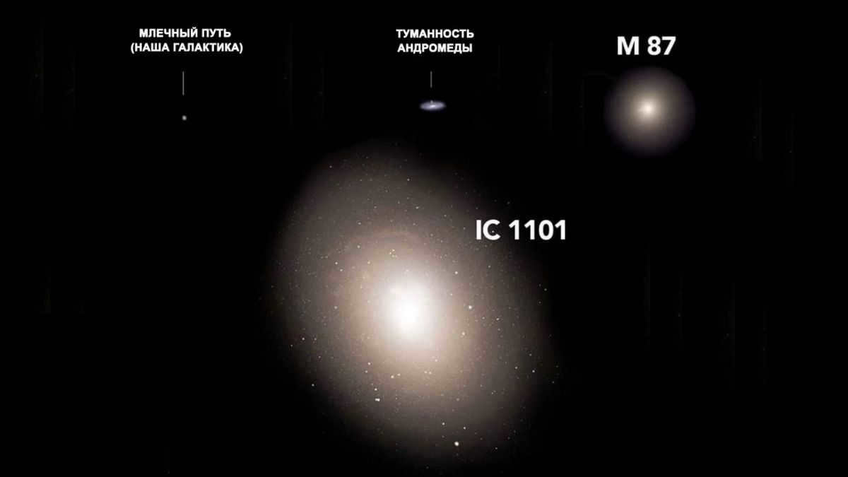 IC 1101
