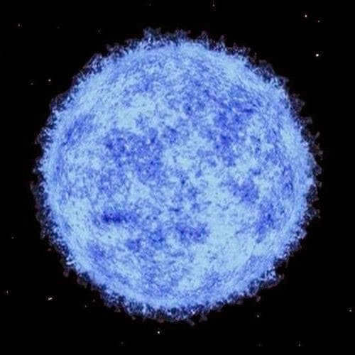 Rigel or β Orion